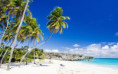 /album/fotky-barbados/barbados-jamajkanita-18-jpg/